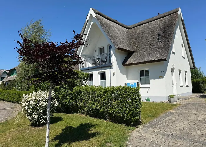 Reethaus Arkonablick, In Erster Reihe Am Kurpark Und Meer, Hunde Herzlich Willkommen וילה